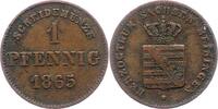 Sachsen-Meiningen Pfennig Bernhard Erich Freund 1803-1866. -