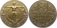Tschechien-Prag, Stadt Bronzemedaille -