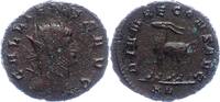 Kaiserzeit Antoninian Gallienus 253-268. -