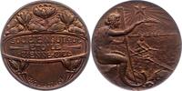 Schweiz-Eidgenossenschaft Bronzemedaille -