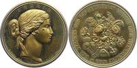 Gelegenheitsmedaillen Vergoldete Bronzemedaille -