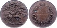 Großbritannien Prämienmedaille Victoria 1837-1901. -