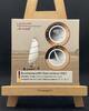 BRD 5x 10 Euro Gedenkmünzenset Luft bewegt, An Land, Polymerring, Komplettsatz -