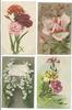 deutschland ansichtskartenlot 1900 ff BLUMEN gebraucht