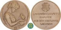 Sachsen Dresden Stadt Bronzemedaille von Friedrich Wilhelm Hörnlein Preismedaille der Landwirtschaftskammer. -