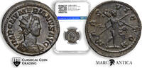    175,00 EUR160,00 EUR  zzgl. 17,80 EUR Versand