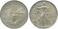 Etats - Unis Argent 1 Dollar 1 Dollar Silver Eagle - Etats-Unis Argent -