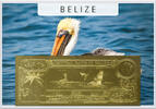 Belize 50 Dollars 1984 ND Brown Pelican (gold) in plastic envelope with ... 69,95 EUR  zzgl. 6,50 EUR Versand