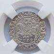 Polen Litauen 1/2 Groschen 1559 Kopicki#3258 AU