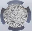 Polen Litauen 1/2 Groschen 1559 Kopicki#3258 AU