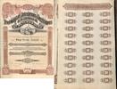 Russland Russia Stock SHARE STOCK Tramwayas et Entreprises Electriques St. Petersbourg -