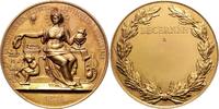 Luftfahrt Galvano offizielle Prämienmedaille d. Ausstellung f. Wissenschaft u. Industrie in Paris -