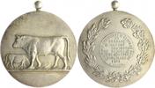 Belgien Silbermedaille Albert I. 1909-1934