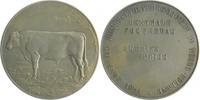 Niederlande Bronzemedaille, versilbert Wilhelmina 1890-1948 -