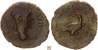 Roman Provincial AE 17mm Septimius Severus, Moesia Inferior, Nicopolis Ad Istrum -