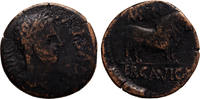 Roman Provincial AE As Hispania Citerion Ercavica, Augustus, Bull -