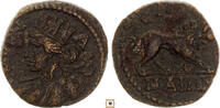 Roman Provincial AE 17mm Ionia, Smyrna, Pseudo-Autonomous, Bust of Amazon / Lion, R! -