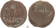 Judaea prutah Herodians, Agrippa I., Umbrella-like canopy / Three gain ears, Jerusalem -
