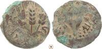 Judaea prutah Herodians, Agrippa I., Umbrella-like canopy / Three gain ears, Jerusalem -