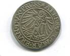 Brandenburg/Preussen, Groschen 1537 Albrecht von Brandenburg 1525-1562, ss