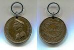 Braunschweig, Bronze Medaille Waterloo Medaille Friedrich Wilhelm Herzog von Braunschweig, -
