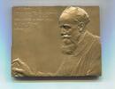 Österreich, Bronze Plakette Paul Albert Bartolome 1848-1925, -