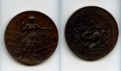 Schweiz/Genf, Br-Medaille, Landesausstellung,