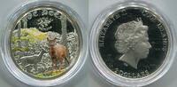 Cook Islands 2 Dollars ~ 1/2 Unze Silber - Reh - nur 2500 Exemplare ~ -