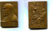 Bronze Plakette 1889 Frankreich, Dr.Lubet Barbou 1857-1948, vz