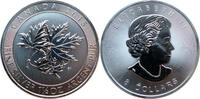 Kanada 8 Dollars Maple Leaf - 1 1/2 Oz Silber -