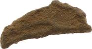 GRIECHEN. THRAKIEN AE-Fischgeld in Delphinform 6.-5. Jh. v.Chr -