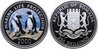 SOMALIA 250 Shilling Republik, seit 1960 -