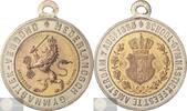 Koninkrijk der Nederlanden Historiepenning Amsterdam: Draagpenning School-Gymnastiek feest Nederlandsch Gymnastiek Verbond -