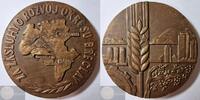 Czech Republik Historical Medal Medal for services to the development of the Břeclav district -
