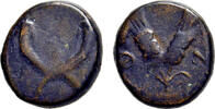 ROMAN PROVINCES &AElig;12 CY 59 (131-132 AD) Commagene - Samosata - temp. Hadr... 135,00 EUR  zzgl. 11,00 EUR Versand