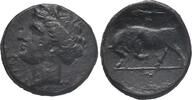 Sicily. 275-215 BC Syracuse. Hieron II s 75,00 EUR  zzgl. 8,00 EUR Versand