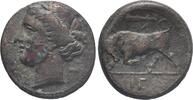 Sicily. 275-215 BC Syracuse. Hieron II s 60,00 EUR  zzgl. 8,00 EUR Versand
