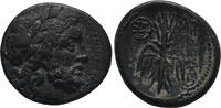 Seleuceia 312-280 Seleuceia Pieria Greek very s 50,00 EUR  zzgl. 8,00 EUR Versand