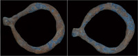 China goose-eyed coin China Eastern Han dynasty usurper Dong Zuo goose-eyed coin