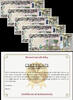 Iraq Dinar IRAQI 250,000 (5 x 50,000) 100% Authentic with C.O.A UNC Ship From CANADA -