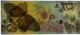 POLAND / POLEN Test Note PWPW Butterfly 07, Motyl