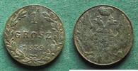 Polen unter Russland 1 Grosz Nikolaus I. 1825-1855 -