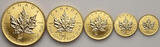 Canada Set 5 - 50 Dollars 2001 Elizabeth II, Maple Leaf, Viking Privy Mark, 1/20 - 1 oz STGL