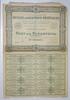 France 100 Francs 75 - PARIS 1923 - SA DES HUILES ET GRAISSES VEGETALES - ACTION DE 100 FRANCS -