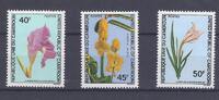 Cameroun Lot de timbres KAMERUN - 3 BRIEFMARKEN - 40, 45 ET 50 FRANCS - BLUMEN -
