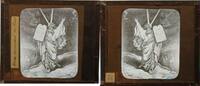 Fotografische Platte – Moses steigt vom Sinai herab -
