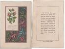 France Frommes BILD – ERLEBEN SIE BLUMEN AM MORGEN DES LEBENS... -