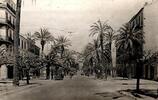 France KOMITAT 83400 - HYERES - AVENUE DES PALMIERS -