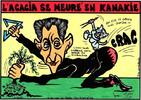 France FREIMAUREREI - AKAZIENSTERBEN IN KANAKIA -