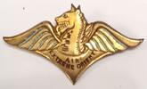 ABZEICHEN - LUFTFAHRT - AIR EXTREME ORIENT - ST-BARTHELEMY LYON - AUGIS -